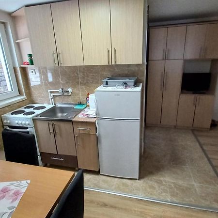 Kopaonik Apartman Aleksandar Extérieur photo